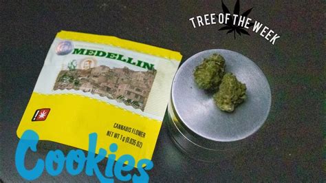 5% is my favorite hybrid for anti-anxiety and a bit of a motivation boost. . Medellin strain cookies